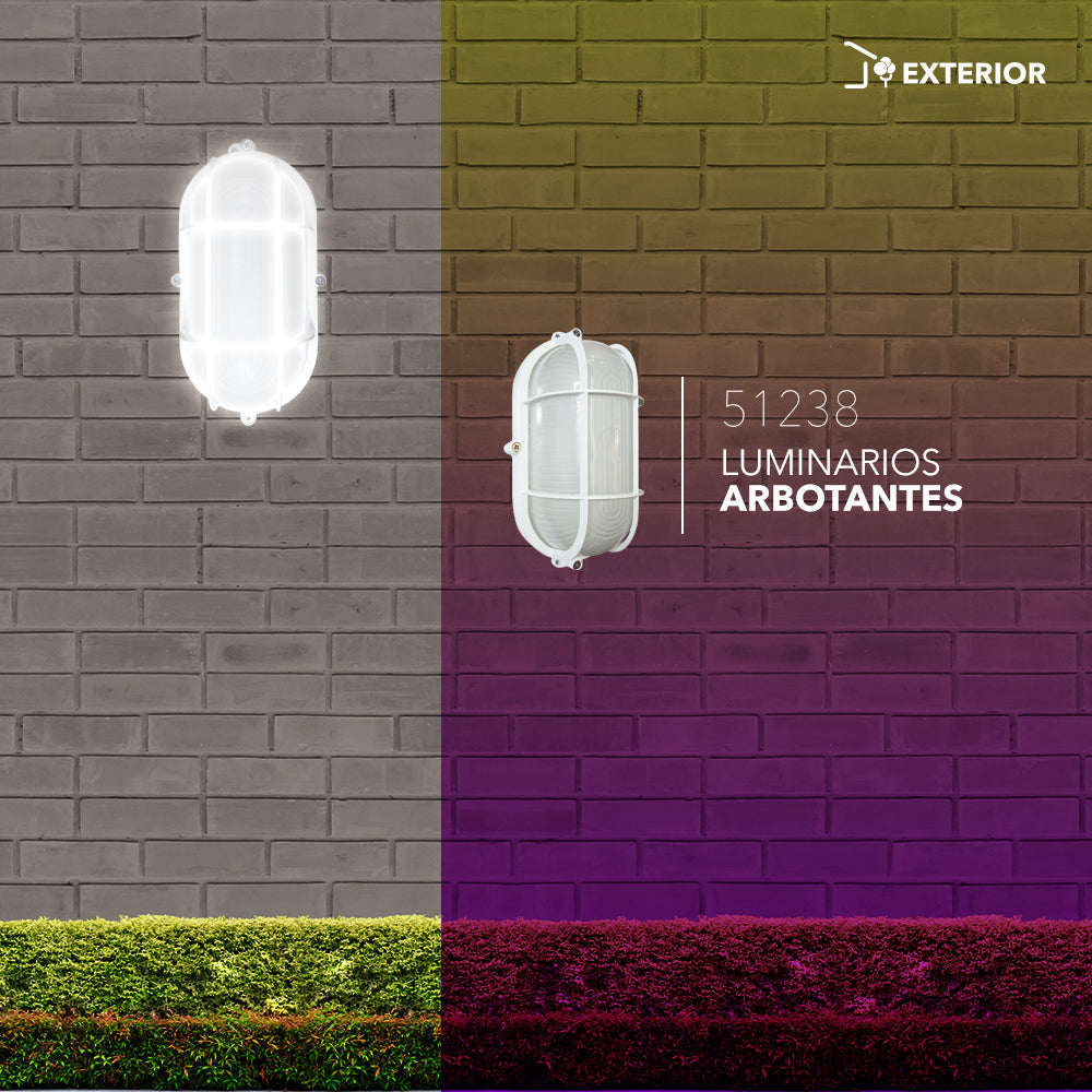 Luminario Arbotante Para Pared LED 7W Luz Blanca 6 500K Acabado Hierro Blanco