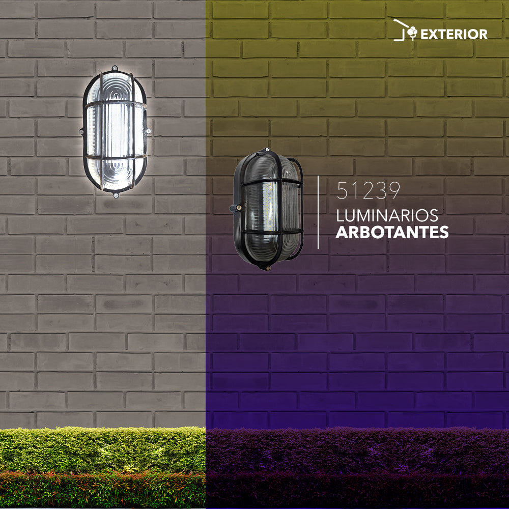 Luminario Arbotante Para Pared LED 7W Luz Blanca 6 500K Acabado Hierro Negro