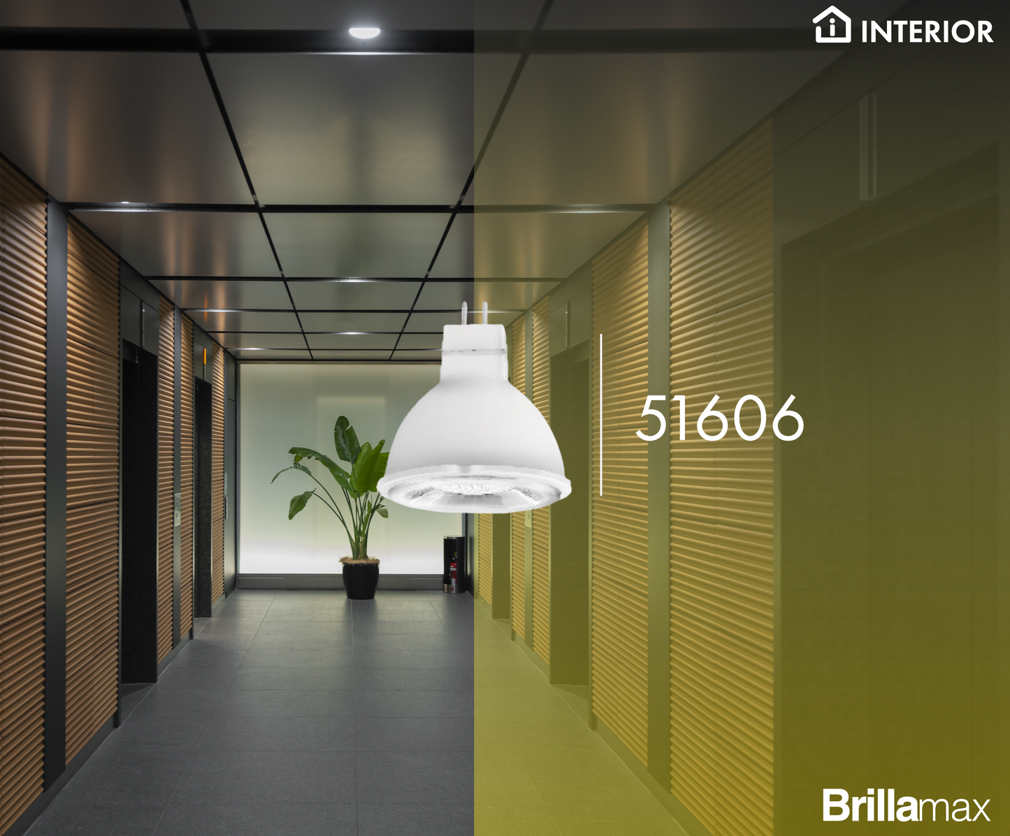 Lámpara LED MR16 3W 6500K
