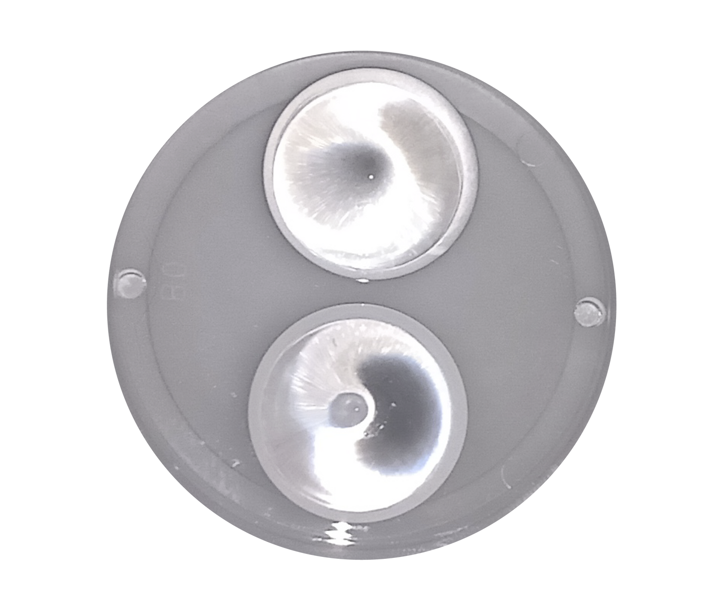 Luminario Emergencia Blanco 4W 4000K