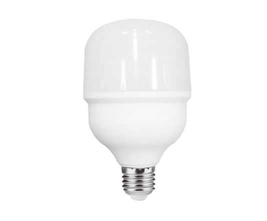 Lámpara Alta Potencia LED 20W Luz Blanca 6 500K