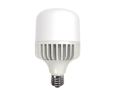 Lámpara Alta Potencia LED 20W 6500K