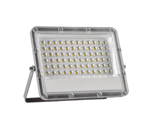 Reflector De LED 100W 6 500K